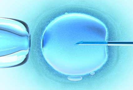 太原合法供卵多少钱_长征医院试管婴儿取卵术的细节(图2)