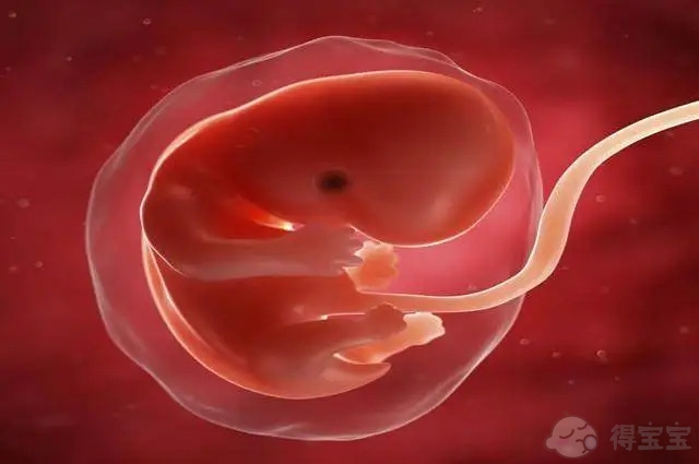 胚胎不留在床上的原因是什么？如果我的胚胎没有植入，我应该怎么做？