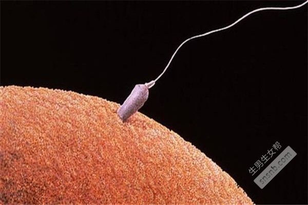 在太原哪里可以做试管婴儿？试管婴儿期间一次移植多少个胚胎？(图1)