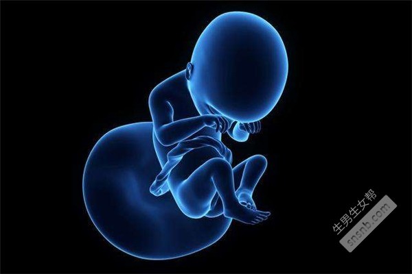 在太原哪里可以做试管婴儿？试管婴儿期间一次移植多少个胚胎？(图2)