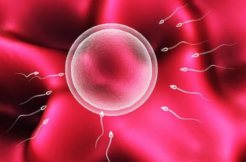 为什么在试管婴儿周期中不能创造胚胎？(图1)