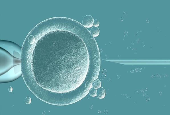 长沙供卵机构代怀-推荐长沙绝经期供卵试管婴儿的私人机构！有详细的供卵受精流程。(图2)