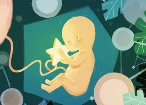 台湾供卵助孕生儿子套餐-台湾成熟的试管婴儿技术可以成为不孕不育家庭实现生育愿望的新希望(图1)