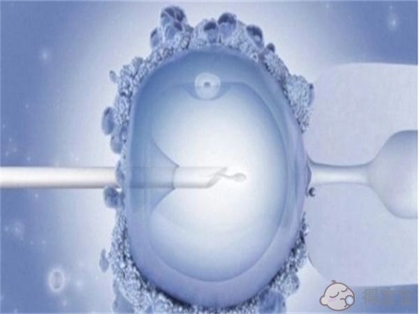 新乡借卵试管收费：解释第二次试管婴儿移植胚胎囊和冷冻胚胎的费用。(图1)