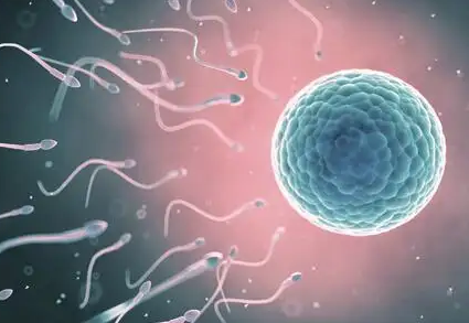 九江51岁供卵：为什么高龄二次妊娠总是被终止？染色体异常是最重要的因素!(图1)