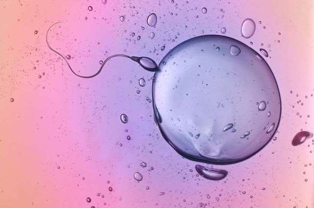 漳州50岁助孕男孩-通过格鲁吉亚的体外受精，可以生出儿子，男孩和女孩的比例是50/50(图1)
