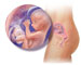 东营助孕宝宝地址-孕妇营养过剩会影响宝宝的生活质量(图5)